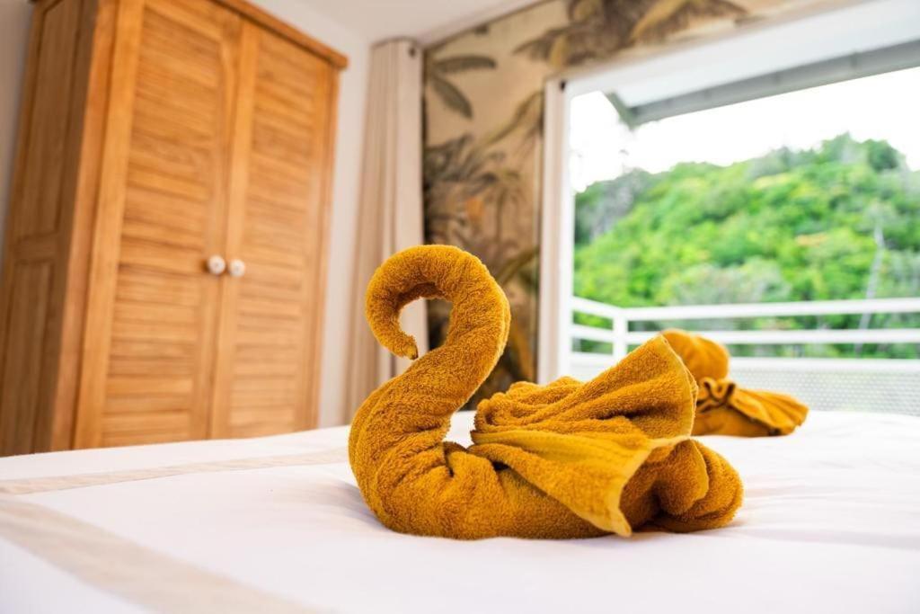 "La Ravine" Prive, Luxe, Avec Une Vue Unique Saint-Joseph Extérieur photo