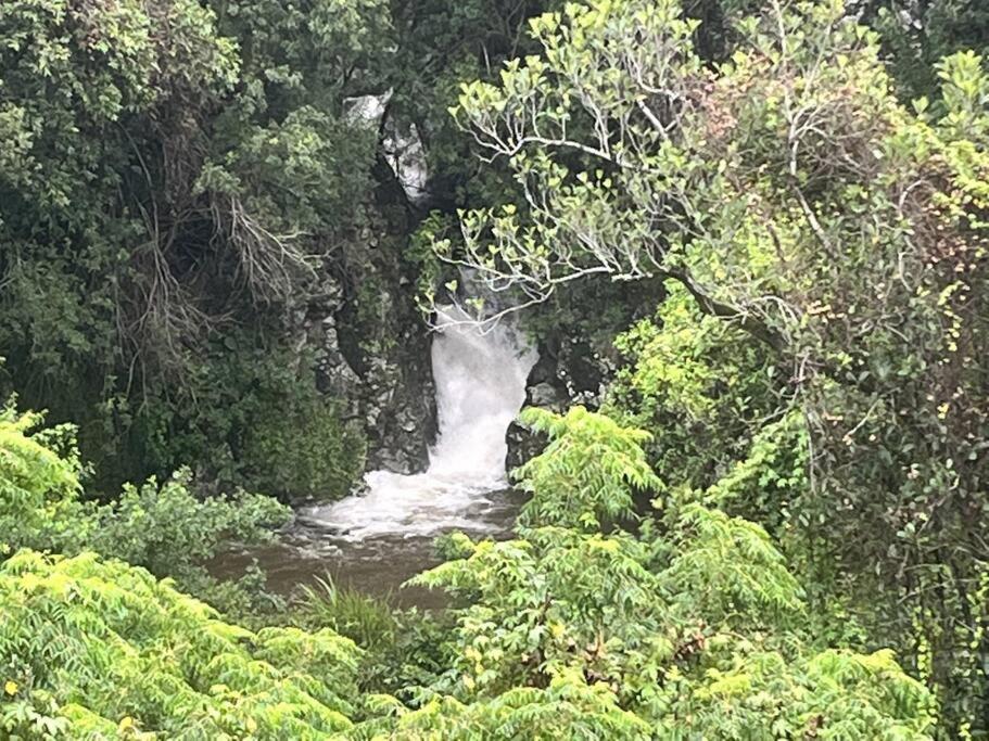 "La Ravine" Prive, Luxe, Avec Une Vue Unique Saint-Joseph Extérieur photo
